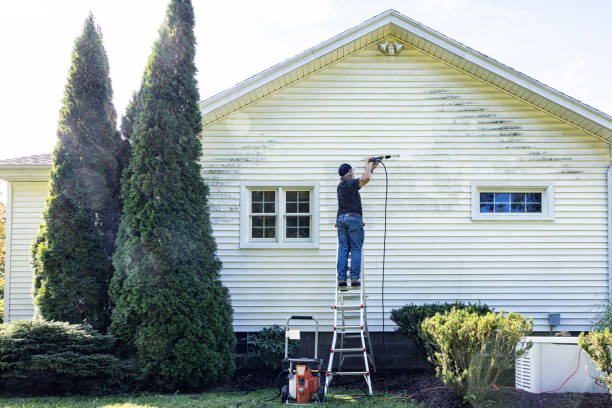Deck Cleaning Services in Watertown, WI