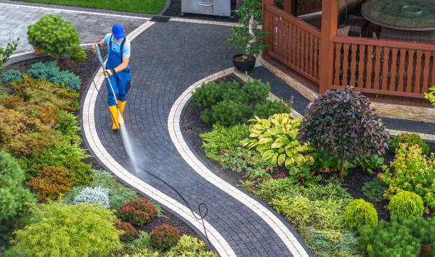 Best Deck Cleaning Services  in Watertown, WI